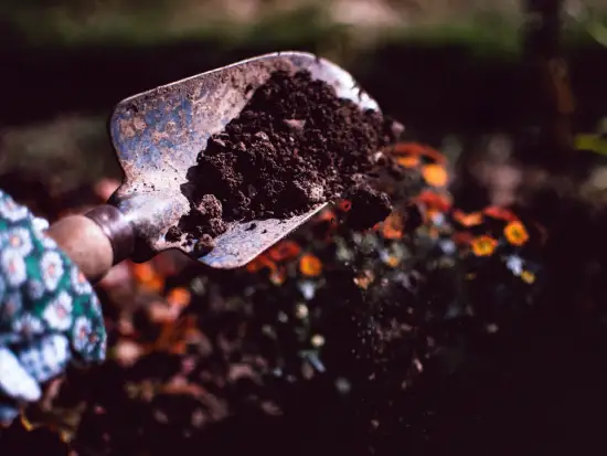 trowel used by West Windsor gardening